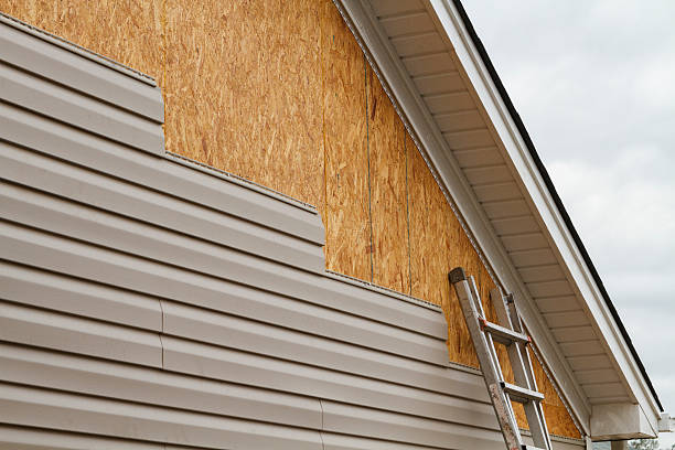 Professional Vinyl Siding technician working in Preston, MN